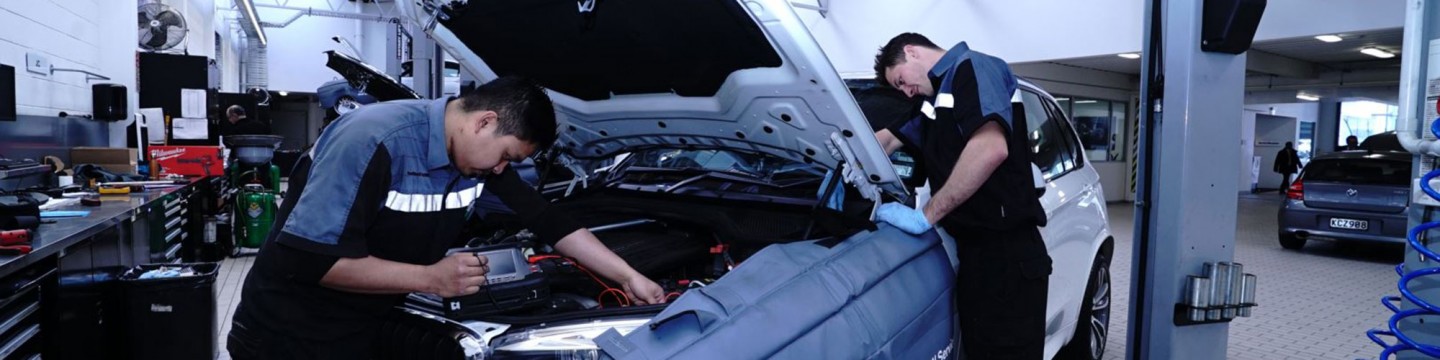 Pre-Purchase Inspection - Auckland City BMW